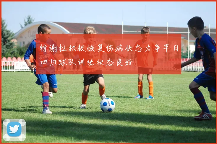 特谢拉积极恢复伤病状态力争早日回归球队训练状态良好