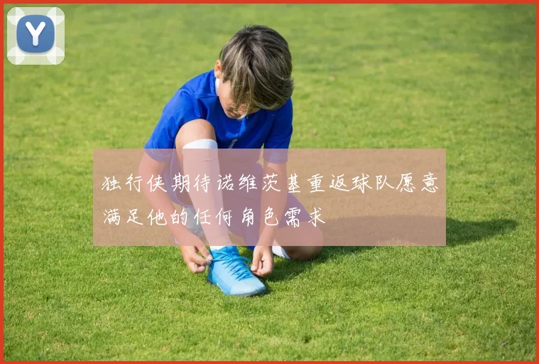 独行侠期待诺维茨基重返球队愿意满足他的任何角色需求